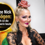 desiree nick vermögen